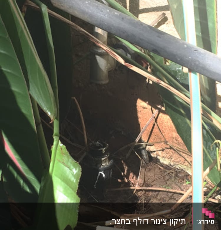 צינור מים בין צמחים עם חיבורים חשופים